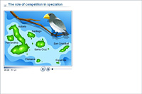 The role of competition in speciation