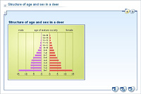 Structure of age and sex in a deer