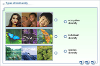 Types of biodiversity
