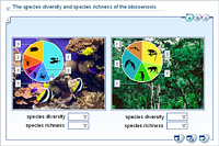 The species diversity and species richness of the biocoenosis