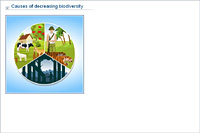 Causes of decreasing biodiversity