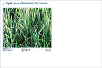 Significance of biodiversity for humans