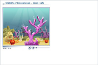Stability of biocoenoses – coral reefs