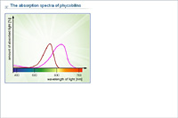 The absorption spectra of phycobilins