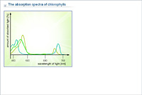 The absorption spectra of chlorophylls