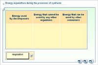 Energy expenditure during the processes of synthesis