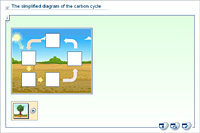 The simplified diagram of the carbon cycle