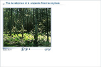 The development of a temperate forest ecosystem
