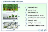 Succession and changes in ecosystems