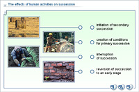 The effects of human activities on succession