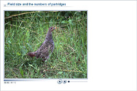 Field size and the numbers of partridges