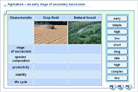 Agriculture – an early stage of secondary succession