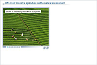 Effects of intensive agriculture on the natural environment