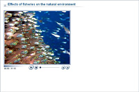 Effects of fisheries on the natural environment