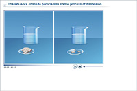 The influence of solute particle size on the process of dissolution