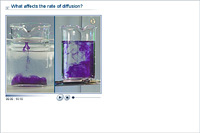 What affects the rate of diffusion?