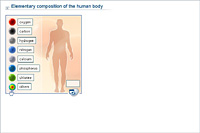 Elementary composition of the human body