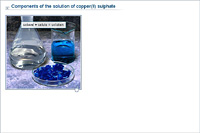 Components of the solution of copper(II) sulphate