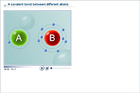 A covalent bond between different atoms