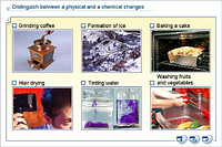 Distinguish between a physical and a chemical changes