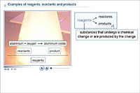 Examples of reagents, reactants and products