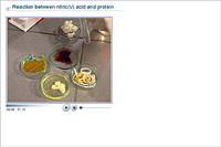 Reaction between nitric(V) acid and protein