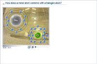 How does a metal atom combine with a halogen atom?