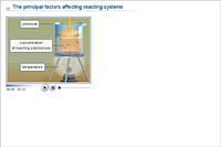 The principal factors affecting reacting systems