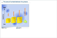 The area of contact between the phases