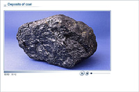 Deposits of coal