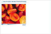 Uses of sulphur dioxide in the food industry