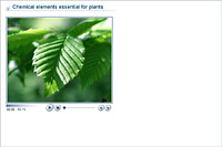 Chemical elements essential for plants