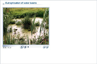Eutrophication of water basins
