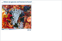 Where can glucose and fructose be found?