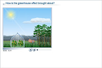 How is the greenhouse effect brought about?