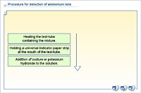 Procedure for detection of ammonium ions