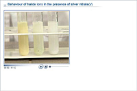 Behaviour of halide ions in the presence of silver nitrate(V)