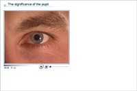 The significance of the pupil