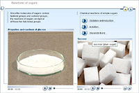 Reactions of sugars