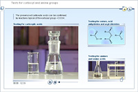 Tests for carboxyl and amine groups