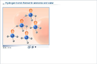 Hydrogen bonds formed in ammonia and water
