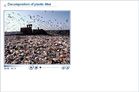 Decomposition of plastic litter
