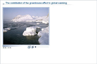 The contribution of the greenhouse effect to global warming