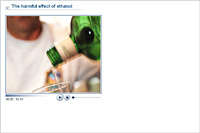 The harmful effect of ethanol