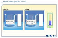 Aliphatic amines: properties as bases
