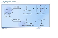Hydrolysis of amides