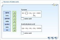 Structure of amino acids