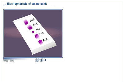 Chemistry - Upper Secondary - YDP - Animation - Electrophoresis of amino  acids