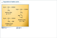 Separation of amino acids