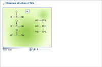 Molecular structure of fats